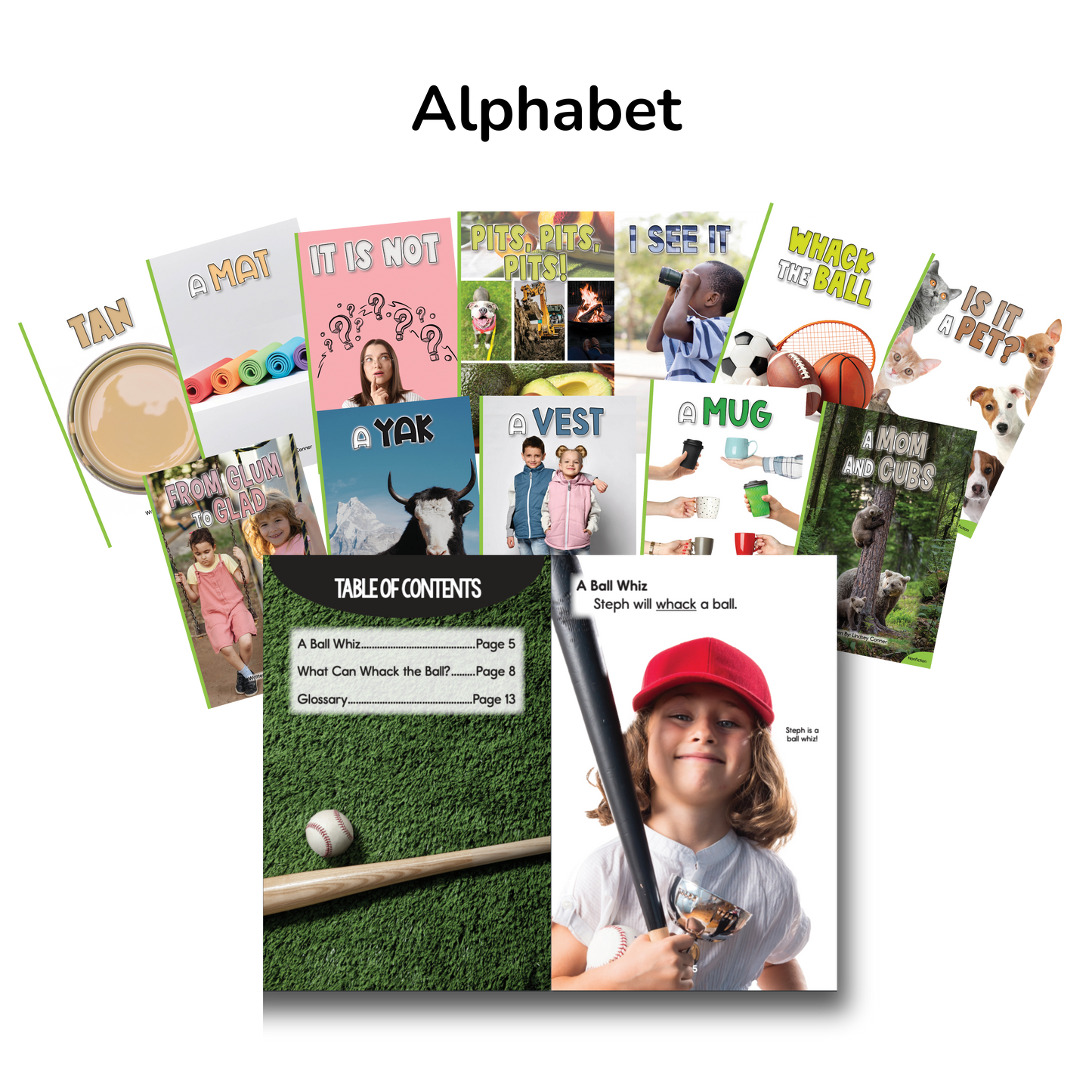 Developing Decoders Kindergarten Green Nonfiction Collection (50 titles, with 6 copies of each)