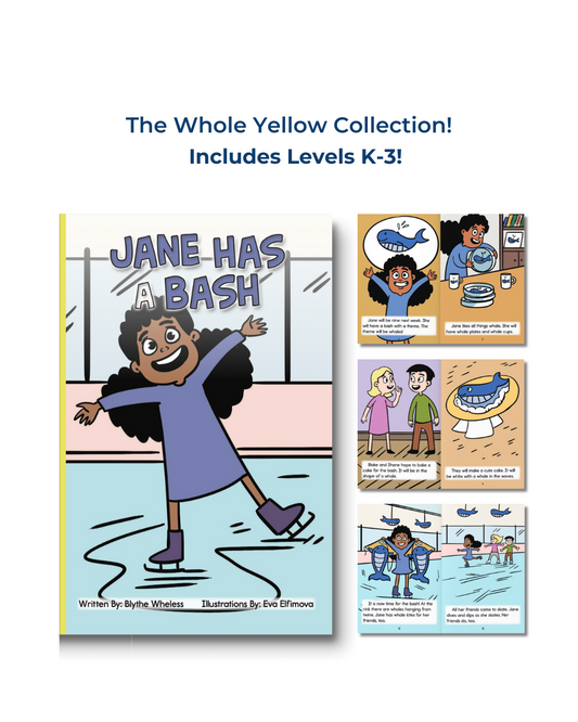 Developing Decoders Whole Yellow Collection: Levels K - 3 (164 titles, with 6 copies each)