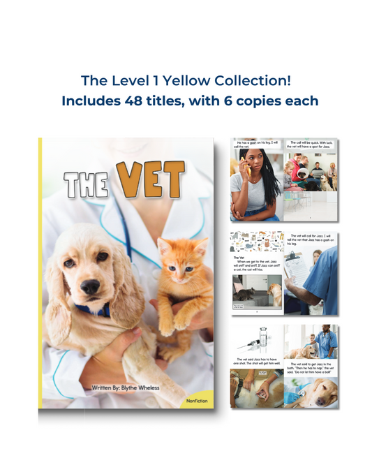Developing Decoders YELLOW Collection: Level 1 (48 titles, with 6 copies each)
