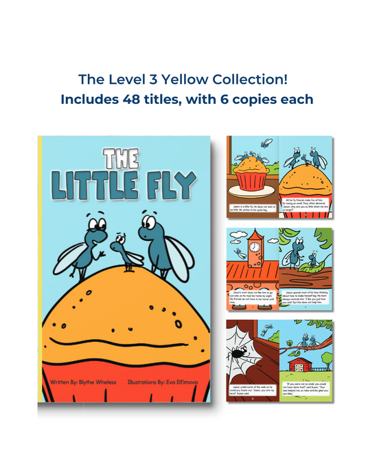 Developing Decoders YELLOW Collection: Level 3 (48 titles, with 6 copies each)