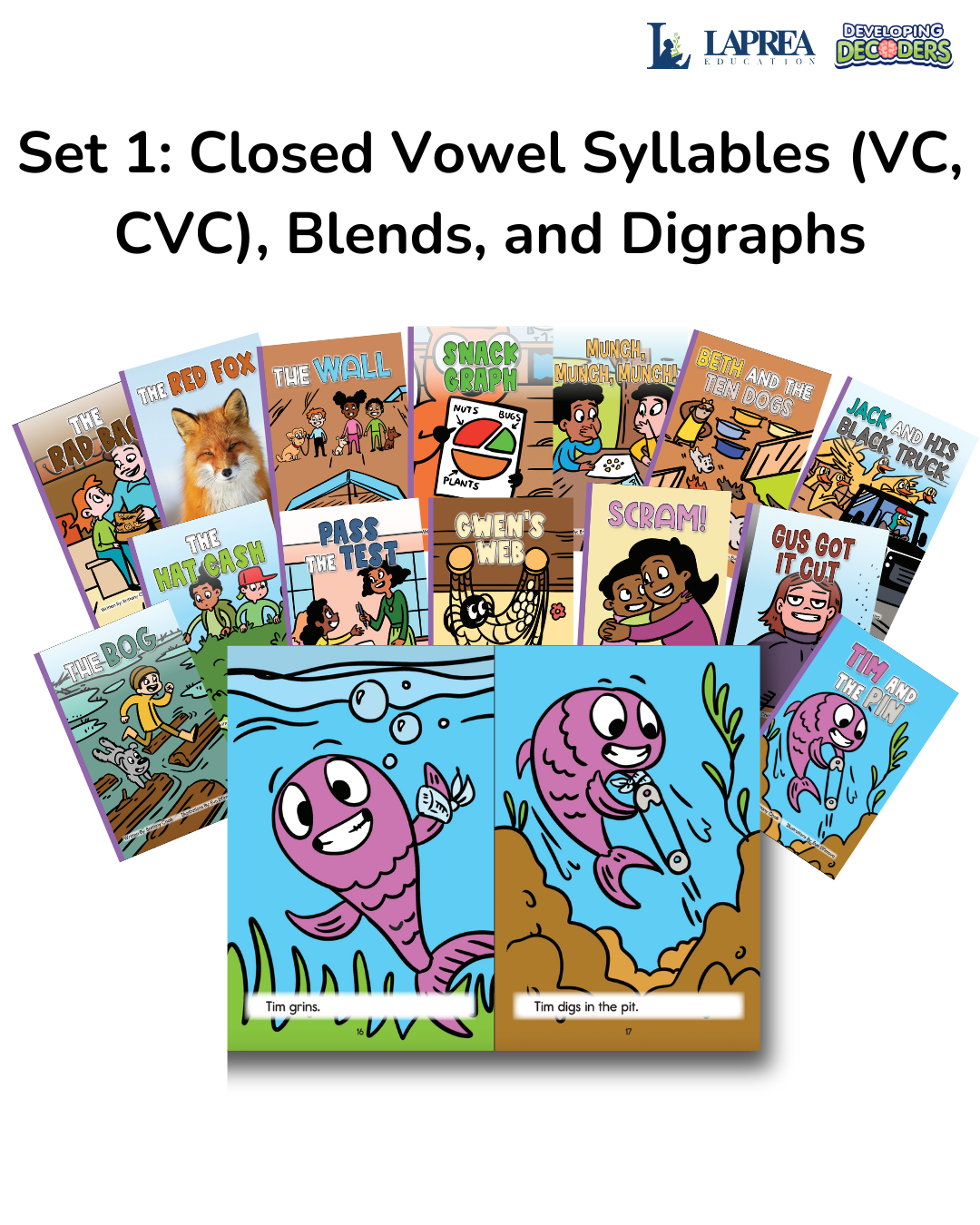 Developing Decoders Purple Collection Set 1: VC, CVC with Blends and Digraphs
