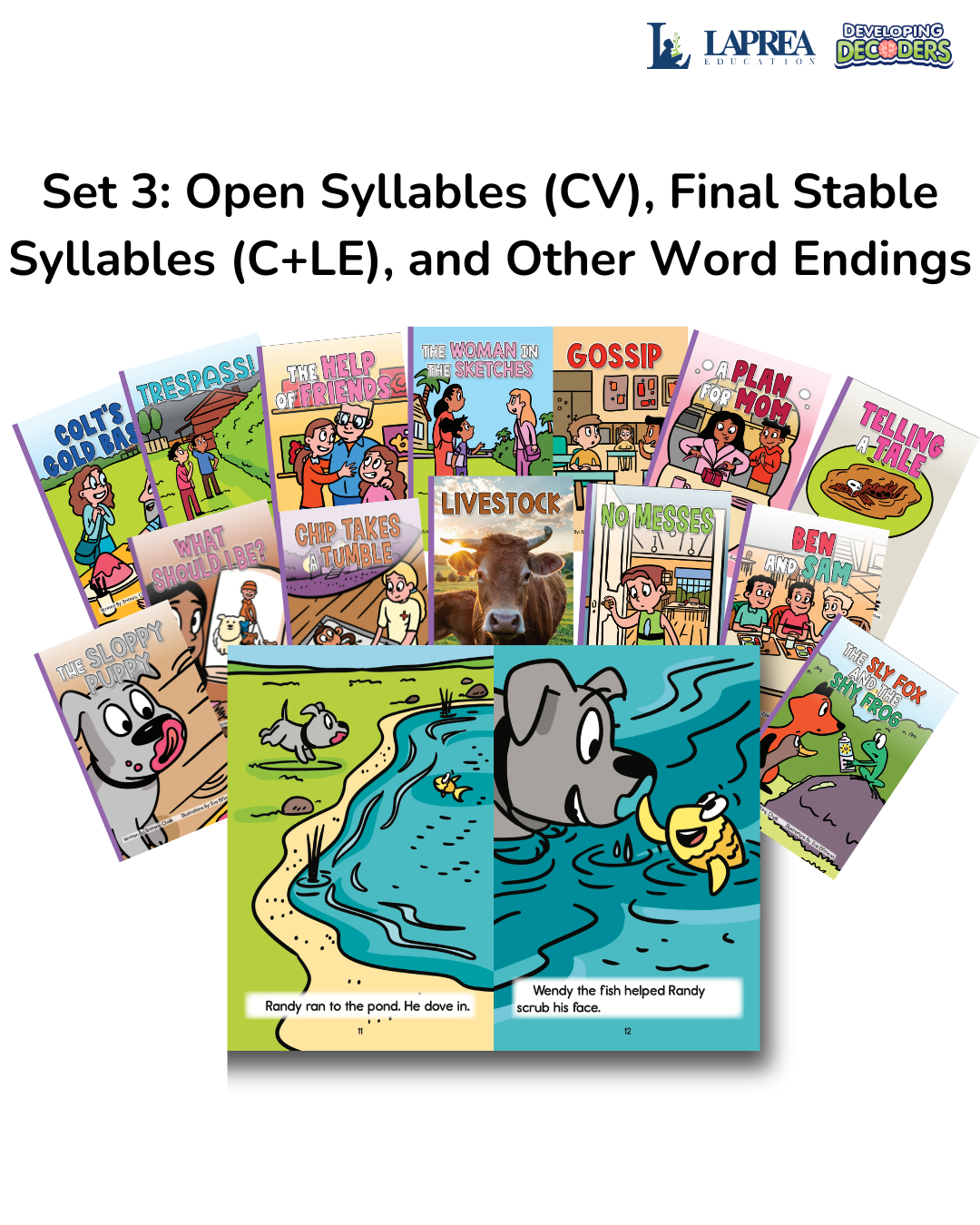 Developing Decoders Purple Collection Set 3: Open Syllables (CV), Final Stable Syllables (C+LE), and Other Word Endings