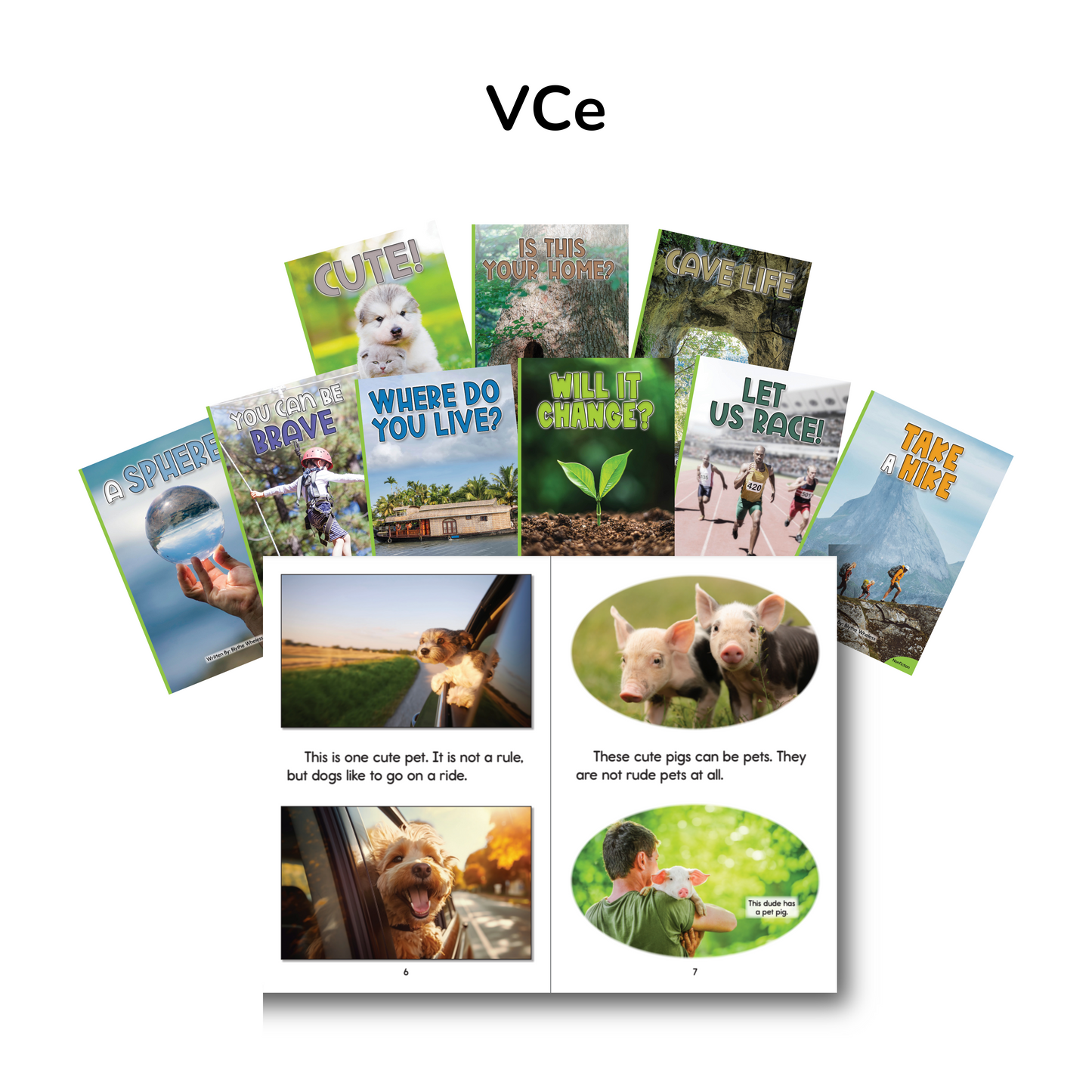 Developing Decoders First Grade Green Nonfiction Collection (75 titles, with 6 copies of each)
