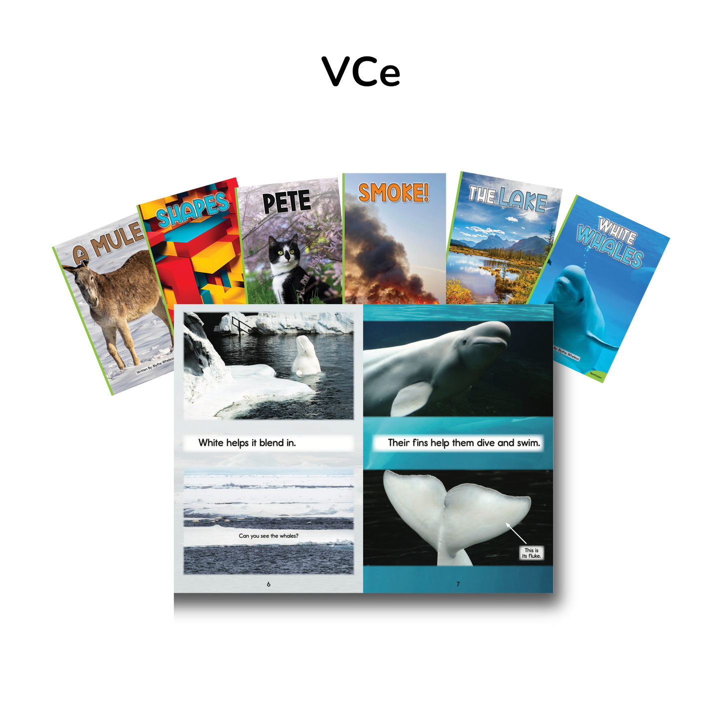 Developing Decoders Kindergarten Green Nonfiction Collection (50 titles, with 6 copies of each)