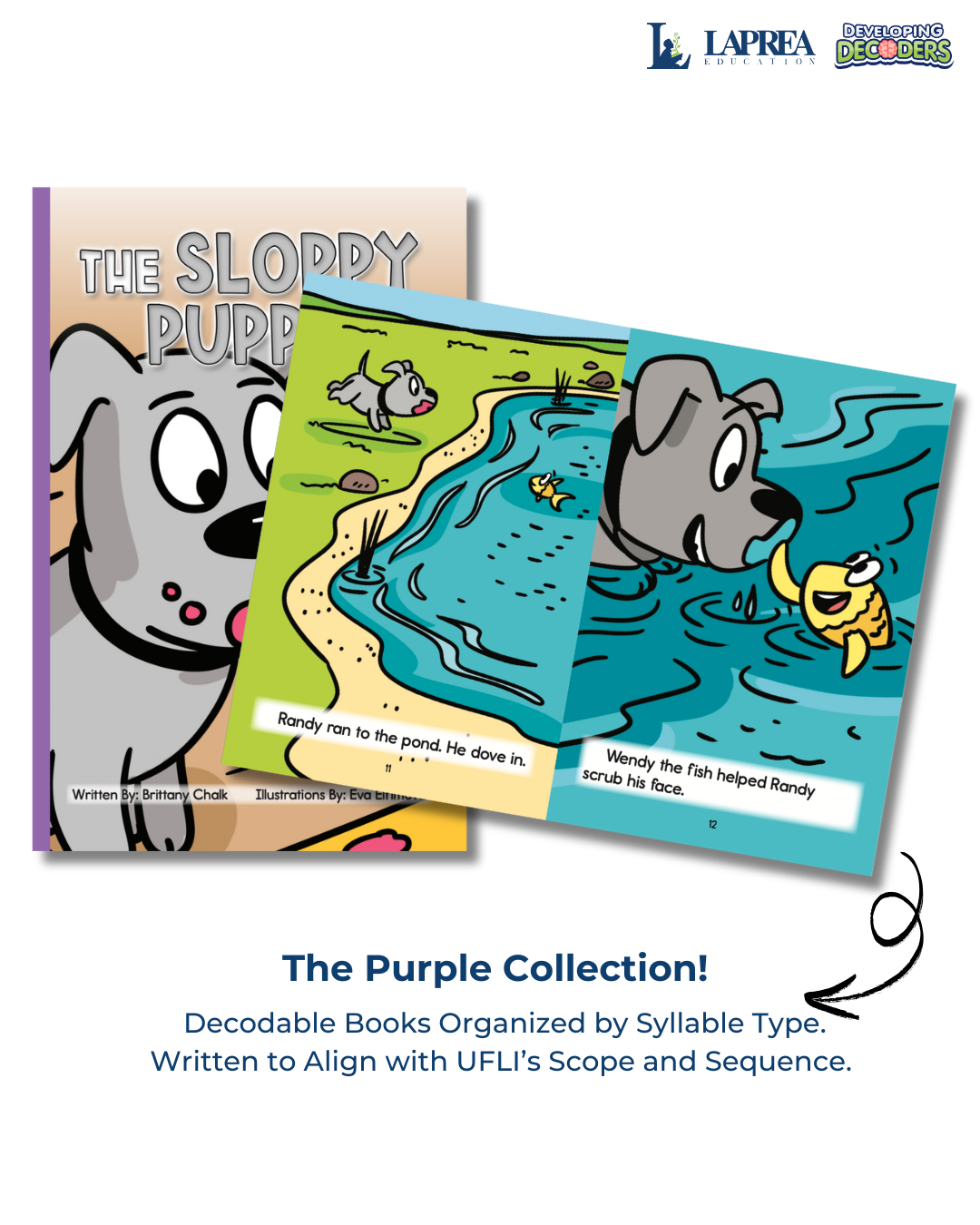 Developing Decoders Purple Collection Set 3:  Open Syllables (CV), Final Stable Syllables (C+LE), and Other Word Endings