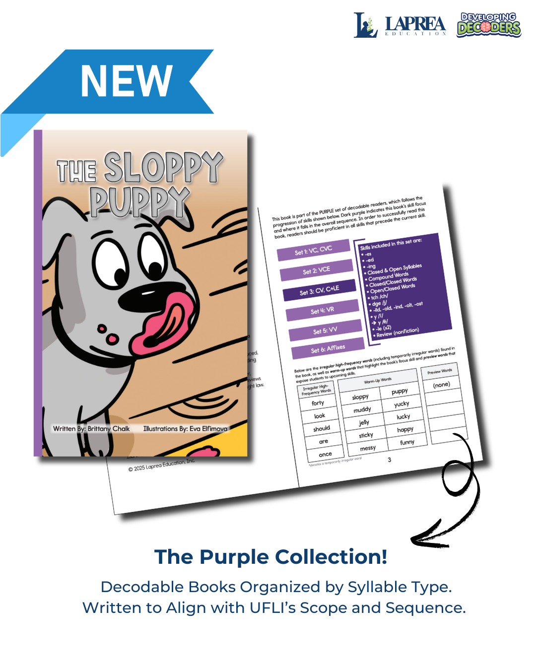 Developing Decoders Purple Collection Set 3:  Open Syllables (CV), Final Stable Syllables (C+LE), and Other Word Endings