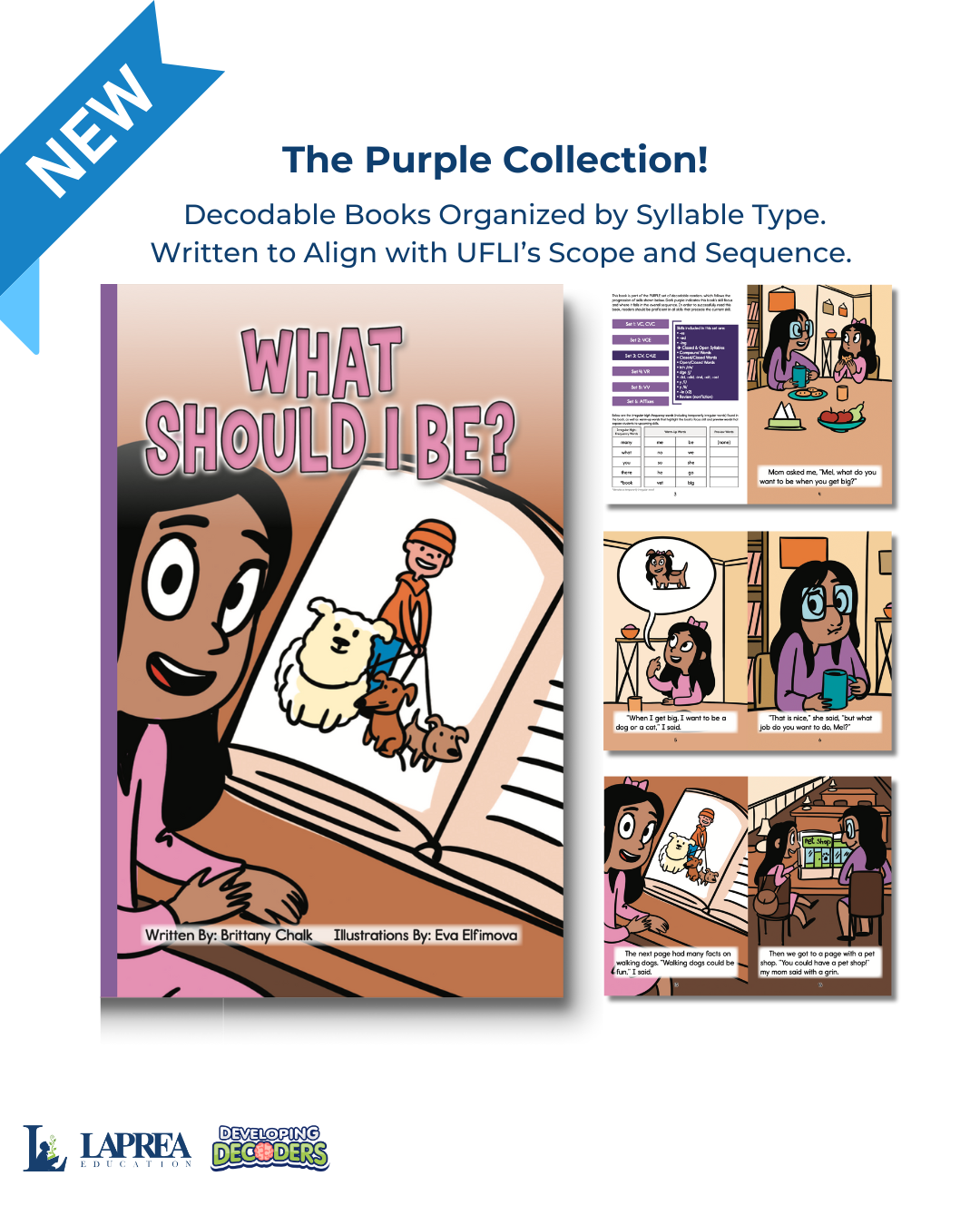 Developing Decoders Purple Collection Set 3:  Open Syllables (CV), Final Stable Syllables (C+LE), and Other Word Endings