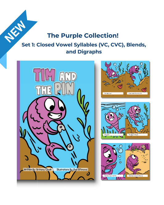 Developing Decoders Purple Collection Set 1: VC, CVC with Blends and Digraphs