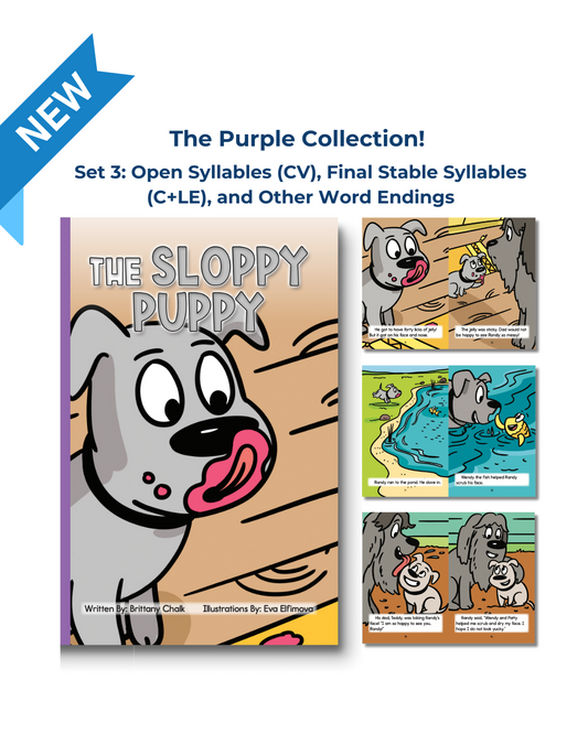 Developing Decoders Purple Collection Set 3:  Open Syllables (CV), Final Stable Syllables (C+LE), and Other Word Endings