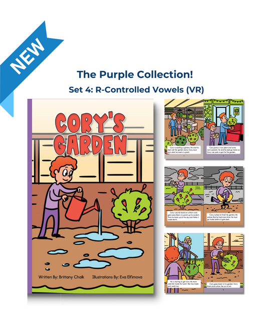 Developing Decoders Purple Collection Set 4:  R-Controlled Vowels (VR)