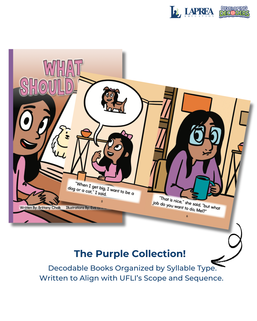 Developing Decoders Purple Collection Set 3:  Open Syllables (CV), Final Stable Syllables (C+LE), and Other Word Endings