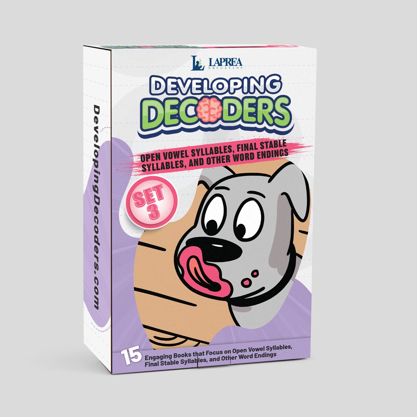 Developing Decoders Purple Collection Set 3:  Open Syllables (CV), Final Stable Syllables (C+LE), and Other Word Endings