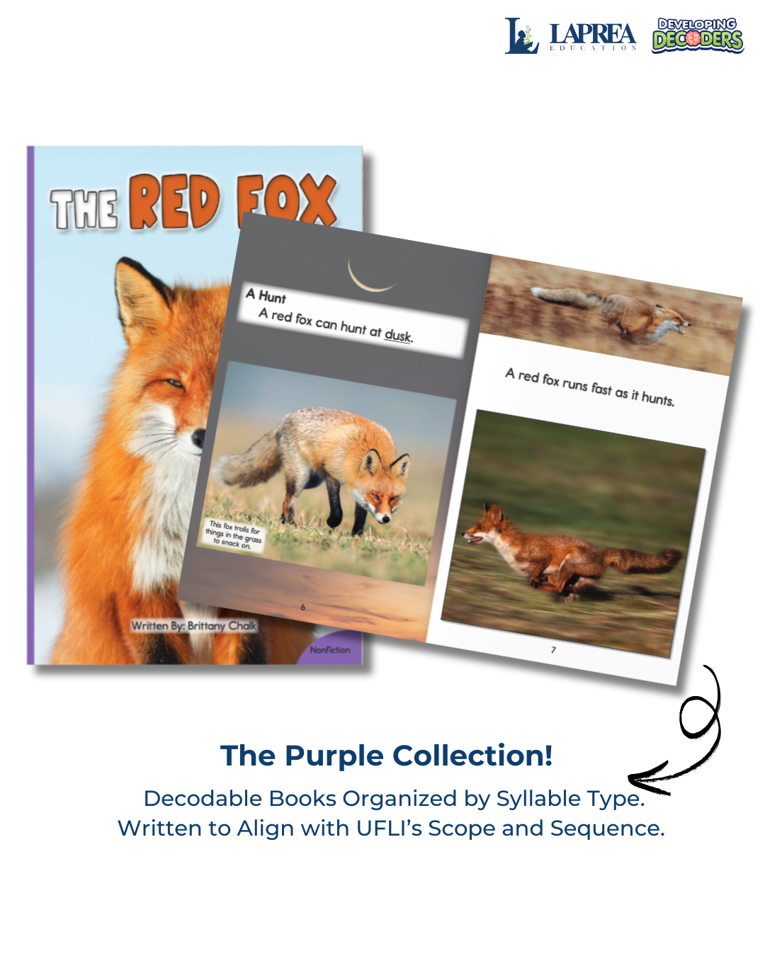 Developing Decoders Purple Collection Set 1: VC, CVC with Blends and Digraphs